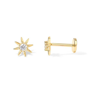 Dallas Screw Back Earrings