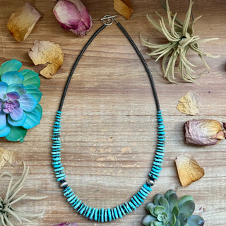 Ice Blue Turquoise Graduated Necklace