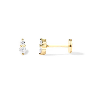 Dallas Screw Back Earrings