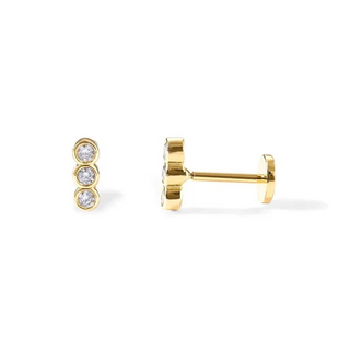 Dallas Screw Back Earrings