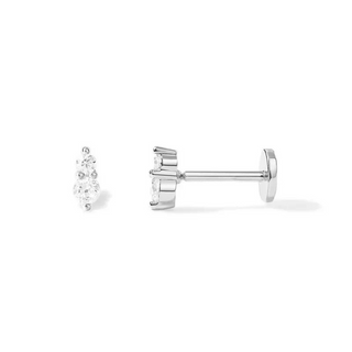 Dallas Screw Back Earrings